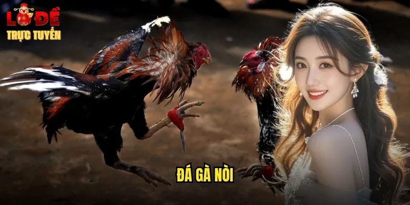 đá gà nòi