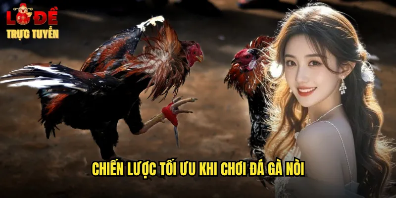 Chiến lược tối ưu khi chơi đá gà nòi