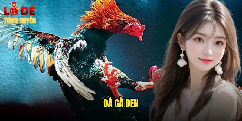đá gà đen