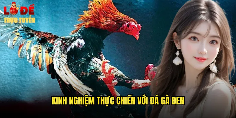 Kinh nghiệm thực chiến với đá gà đen