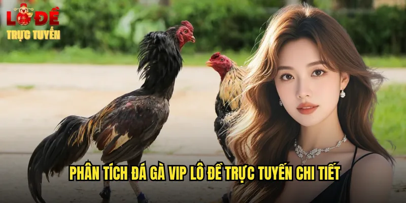 Phân tích đá gà VIP lô đề trực tuyến chi tiết