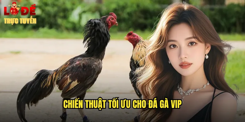Chiến thuật tối ưu cho đá gà VIP