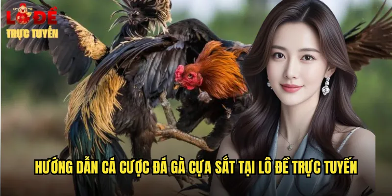 Hướng dẫn cá cược đá gà cựa sắt tại lô đề trực tuyến