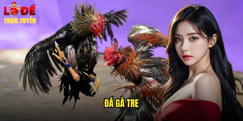 đá gà tre