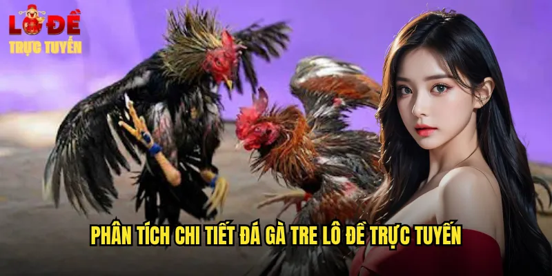 Phân tích chi tiết đá gà tre lô đề trực tuyến