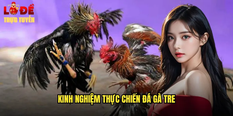 Kinh nghiệm thực chiến đá gà tre