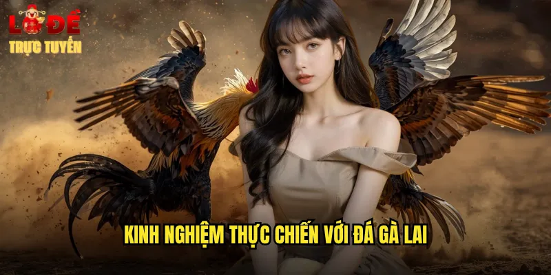 Kinh nghiệm thực chiến với đá gà lai