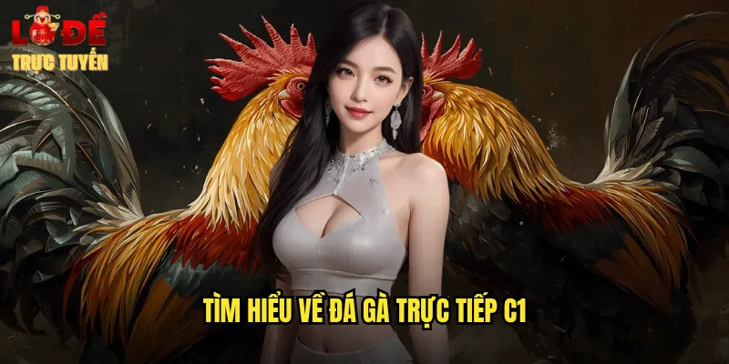 Đá Gà Trực Tiếp C1 - Hấp Dẫn Từng Giây Tại Lô Đề Trực Tuyến 2 Tìm hiểu về đá gà trực tiếp C1