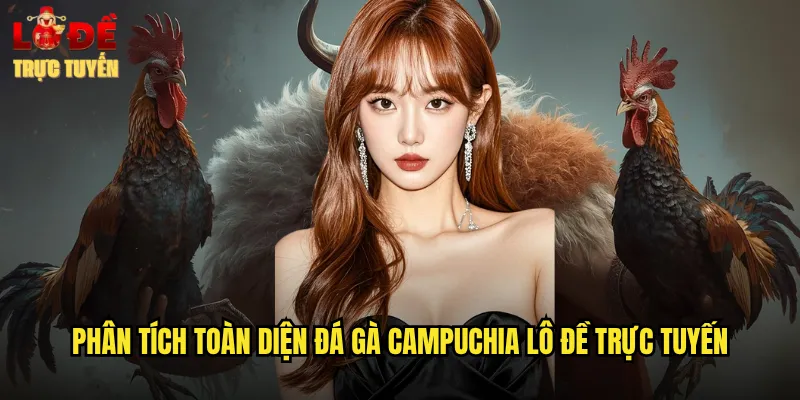 Phân tích toàn diện đá gà campuchia lô đề trực tuyến