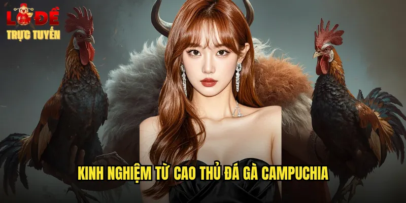 Kinh nghiệm từ cao thủ đá gà campuchia