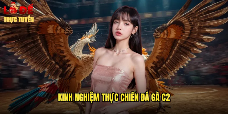 Bí Quyết Chinh Phục Đá Gà C2 Lô Đề Trực Tuyến 3 Kinh nghiệm thực chiến đá gà c2