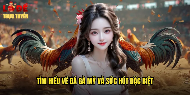 Tìm hiểu về đá gà Mỹ và sức hút đặc biệt
